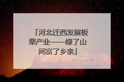 河北迁西发展板栗产业——绿了山间富了乡亲