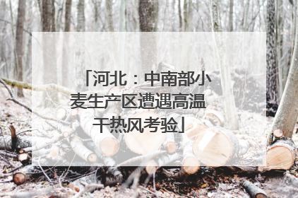 河北：中南部小麦生产区遭遇高温干热风考验