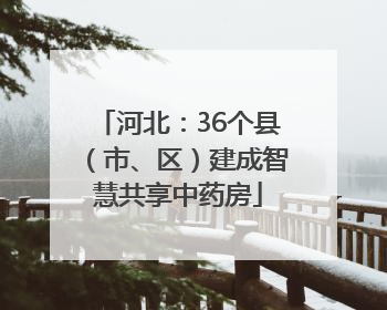 河北：36个县（市、区）建成智慧共享中药房