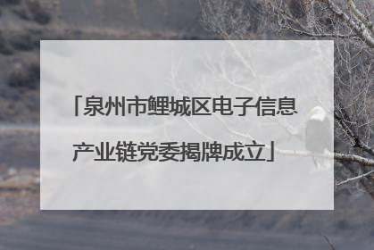 泉州市鲤城区电子信息产业链党委揭牌成立