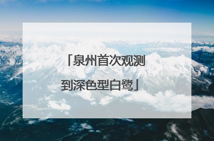 泉州首次观测到深色型白鹭