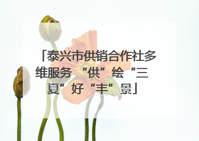 泰兴市供销合作社多维服务 “供”绘“三夏”好“丰”景