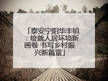 泰安宁阳华丰镇：绘就人居环境新画卷 书写乡村振兴新篇章