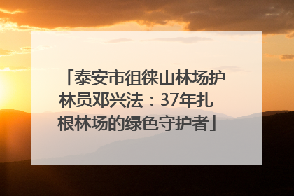 泰安市徂徕山林场护林员邓兴法：37年扎根林场的绿色守护者