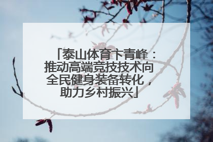泰山体育卞青峰：推动高端竞技技术向全民健身装备转化，助力乡村振兴