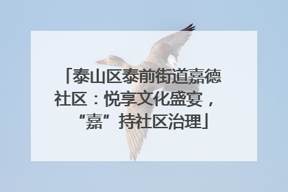 泰山区泰前街道嘉德社区：悦享文化盛宴，“嘉”持社区治理