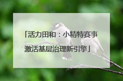 活力田和：小精特赛事激活基层治理新引擎