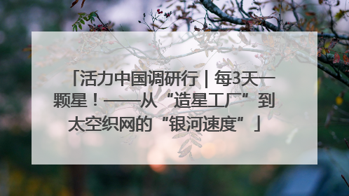 活力中国调研行｜每3天一颗星！——从“造星工厂”到太空织网的“银河速度”