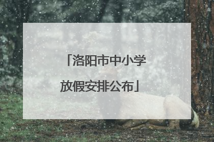 洛阳市中小学放假安排公布