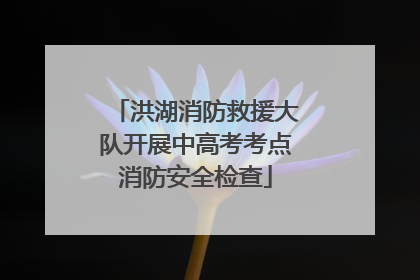 洪湖消防救援大队开展中高考考点消防安全检查