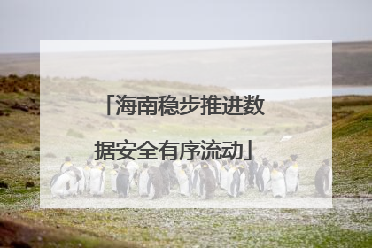 海南稳步推进数据安全有序流动
