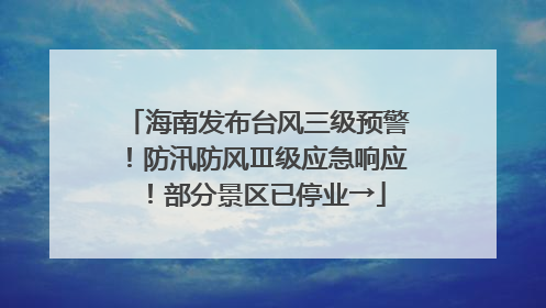 海南发布台风三级预警！防汛防风Ⅲ级应急响应！部分景区已停业→