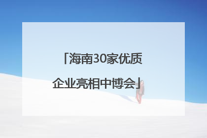 海南30家优质企业亮相中博会