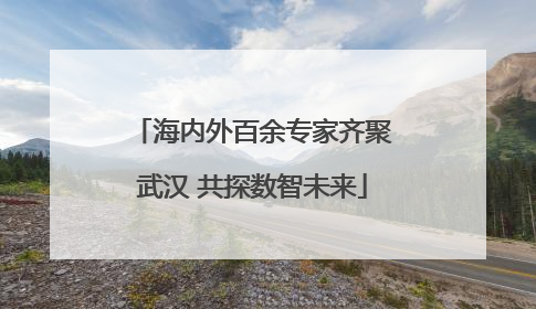 海内外百余专家齐聚武汉 共探数智未来