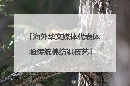 海外华文媒体代表体验传统棉纺织技艺