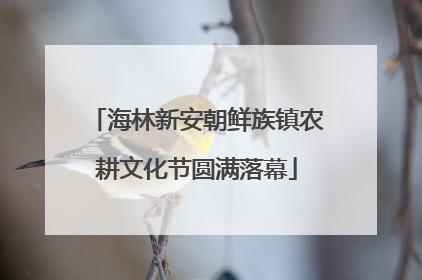 海林新安朝鲜族镇农耕文化节圆满落幕