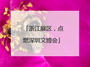 浙江展区，点燃深圳文博会