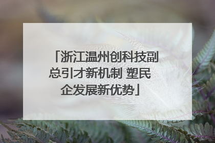 浙江温州创科技副总引才新机制 塑民企发展新优势