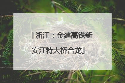 浙江：金建高铁新安江特大桥合龙
