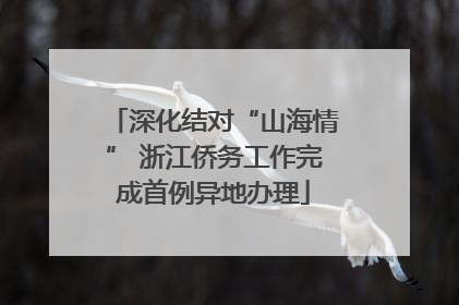 深化结对“山海情” 浙江侨务工作完成首例异地办理
