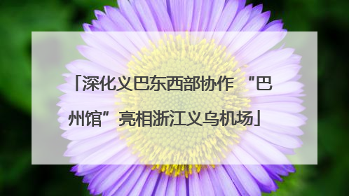 深化义巴东西部协作 “巴州馆”亮相浙江义乌机场