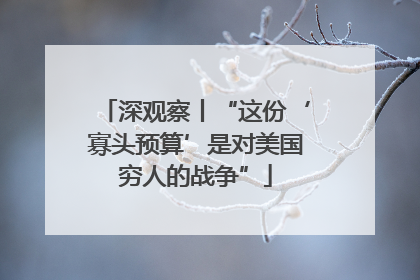 深观察丨“这份‘寡头预算’是对美国穷人的战争”