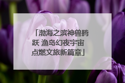 渤海之滨神兽腾跃 渔岛幻夜宇宙点燃文旅新篇章