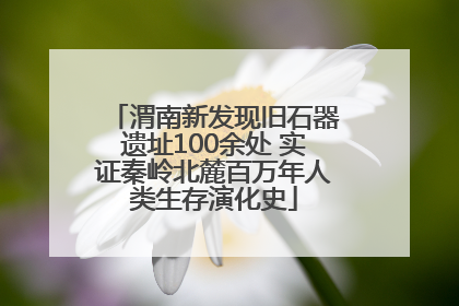 渭南新发现旧石器遗址100余处 实证秦岭北麓百万年人类生存演化史