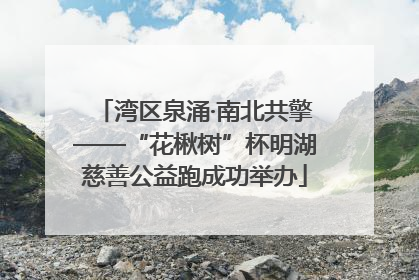 湾区泉涌·南北共擎——“花楸树”杯明湖慈善公益跑成功举办