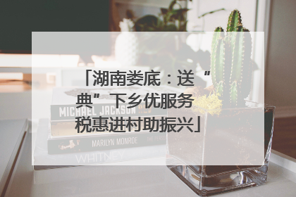湖南娄底：送“典”下乡优服务 税惠进村助振兴