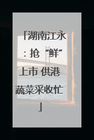 湖南江永：抢“鲜”上市 供港蔬菜采收忙