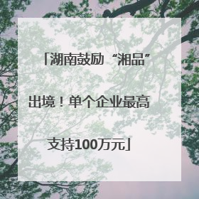 湖南鼓励“湘品”出境！单个企业最高支持100万元