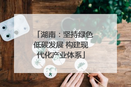 湖南：坚持绿色低碳发展 构建现代化产业体系