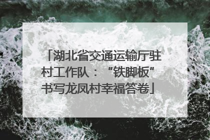 湖北省交通运输厅驻村工作队：“铁脚板”书写龙凤村幸福答卷