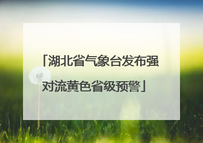 湖北省气象台发布强对流黄色省级预警