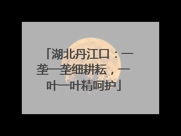 湖北丹江口：一垄一垄细耕耘，一叶一叶精呵护