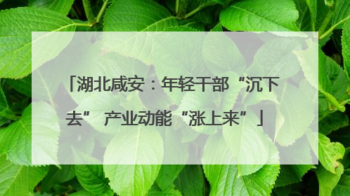 湖北咸安：年轻干部“沉下去” 产业动能“涨上来”