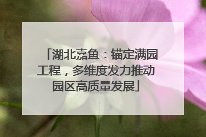 湖北嘉鱼：锚定满园工程，多维度发力推动园区高质量发展
