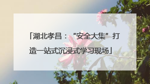 湖北孝昌：“安全大集”打造一站式沉浸式学习现场