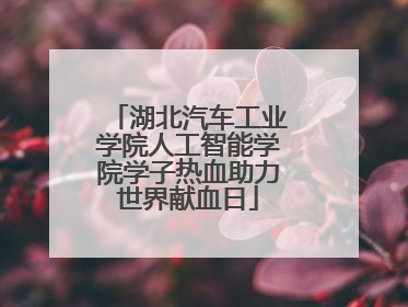 湖北汽车工业学院人工智能学院学子热血助力世界献血日