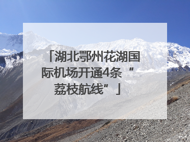 湖北鄂州花湖国际机场开通4条“荔枝航线”