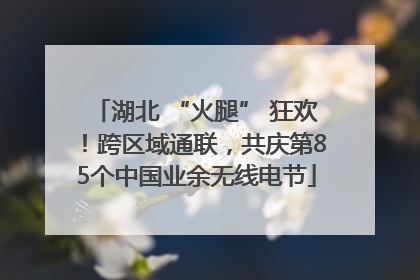 湖北 “火腿” 狂欢！跨区域通联，共庆第85个中国业余无线电节