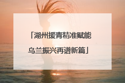 湖州援青精准赋能 乌兰振兴再谱新篇
