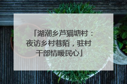 湖潮乡芦猫塘村：夜访乡村巷陌，驻村干部情暖民心