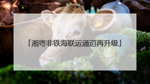 湘粤非铁海联运通道再升级