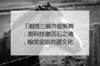 湘博三展齐绽新辉：黑科技激活石之魂，翰墨金影共谱文化遗产日华章