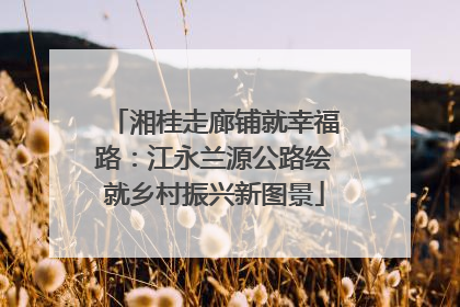 湘桂走廊铺就幸福路：江永兰源公路绘就乡村振兴新图景