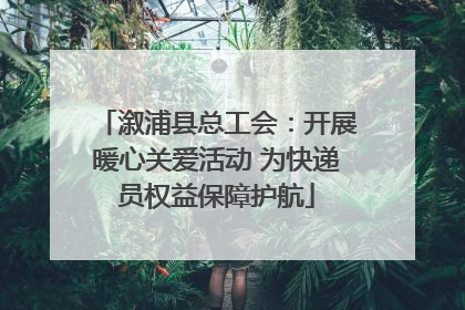 溆浦县总工会：开展暖心关爱活动 为快递员权益保障护航