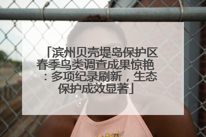 滨州贝壳堤岛保护区春季鸟类调查成果惊艳：多项纪录刷新，生态保护成效显著