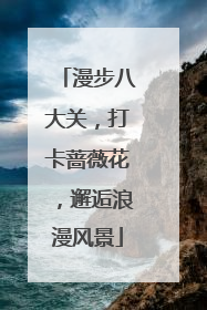 漫步八大关，打卡蔷薇花，邂逅浪漫风景